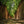 The Forgotten Road