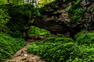 Maquoketa’s Backbone