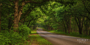 Nine Eagles Road