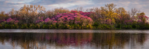 Shoreline Blush