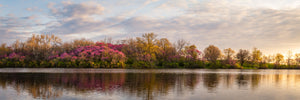 Spring’s Reflection