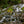 Falls of Decorah