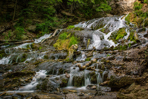 Falls of Decorah