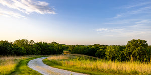 The Long Road Home
