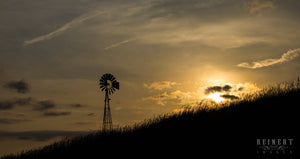 Golden Serenity - Pano