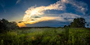 Beneath the Prairie Sky