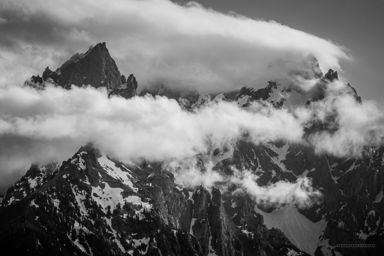 Among The Giants