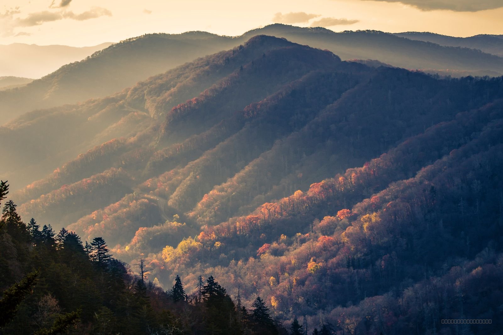 Autumn’s First Light