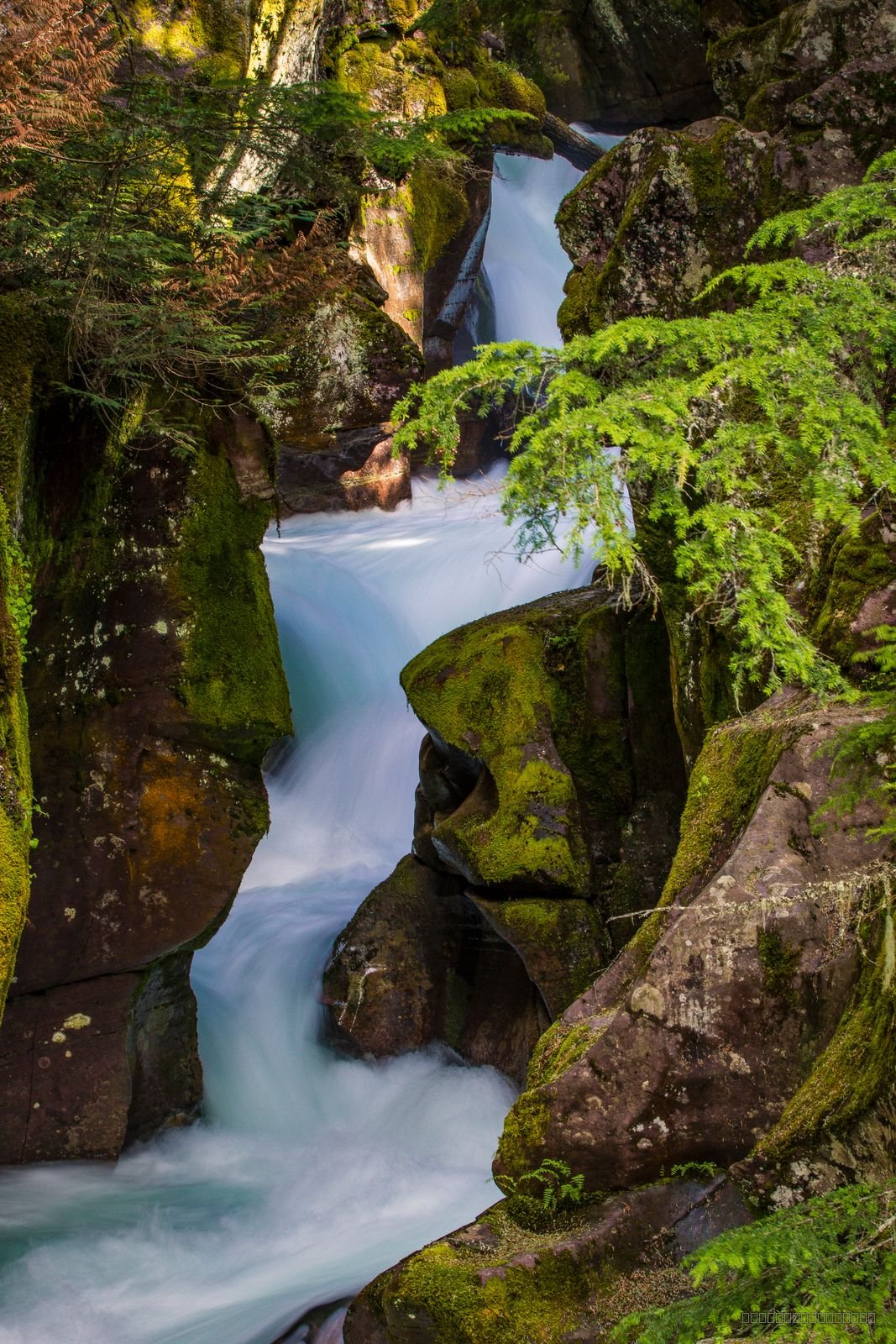 Avalanche Gorge