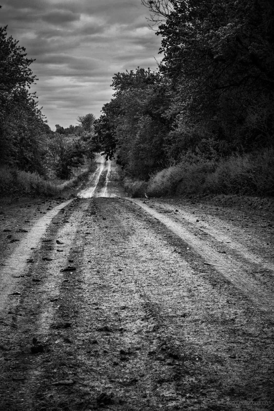 Backroad Iowa