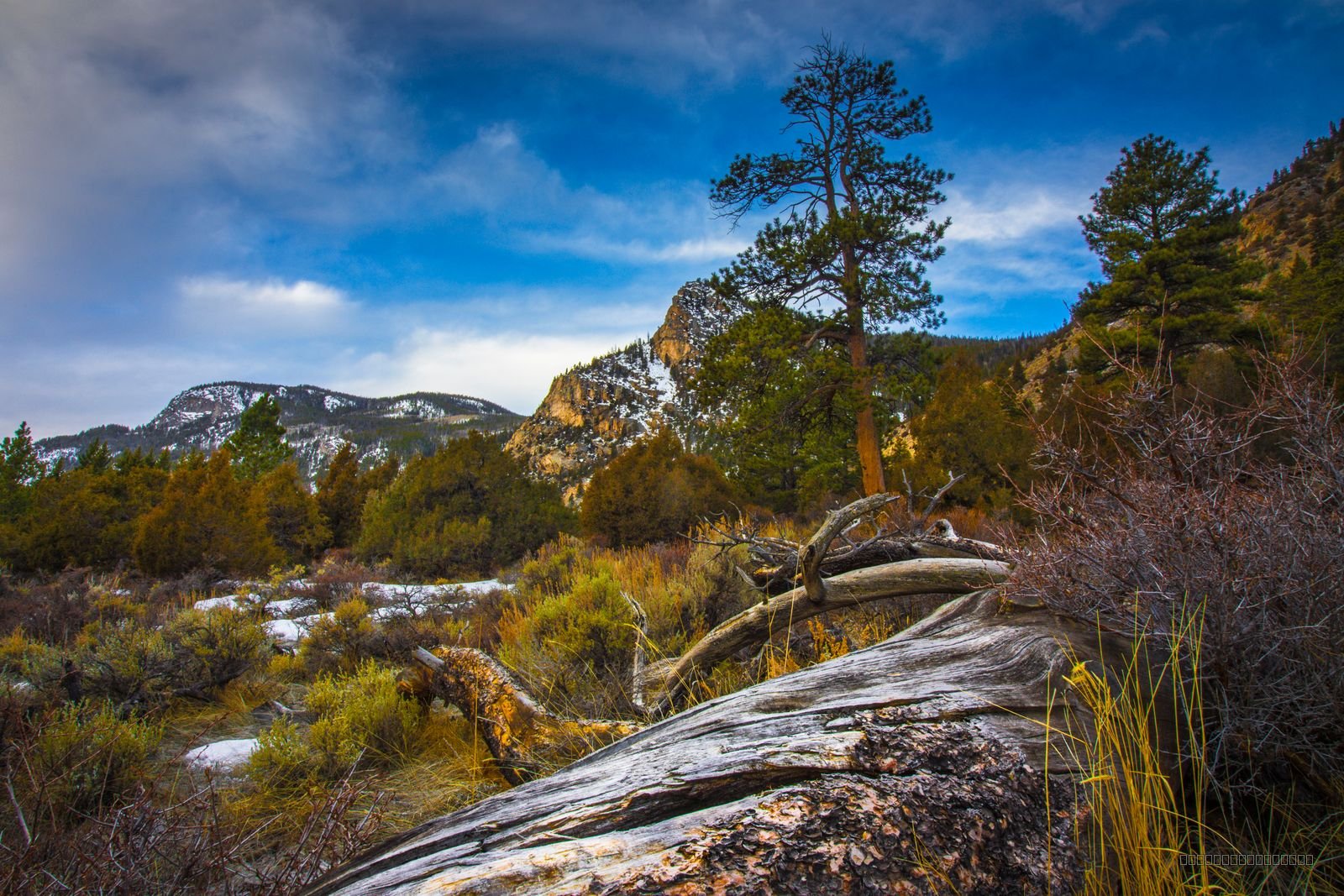 Colorado High Country