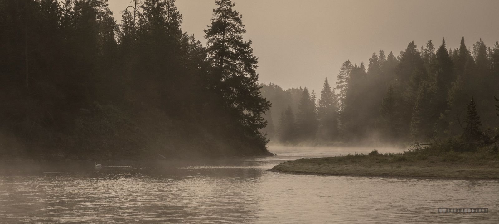 Dawn On The Snake River