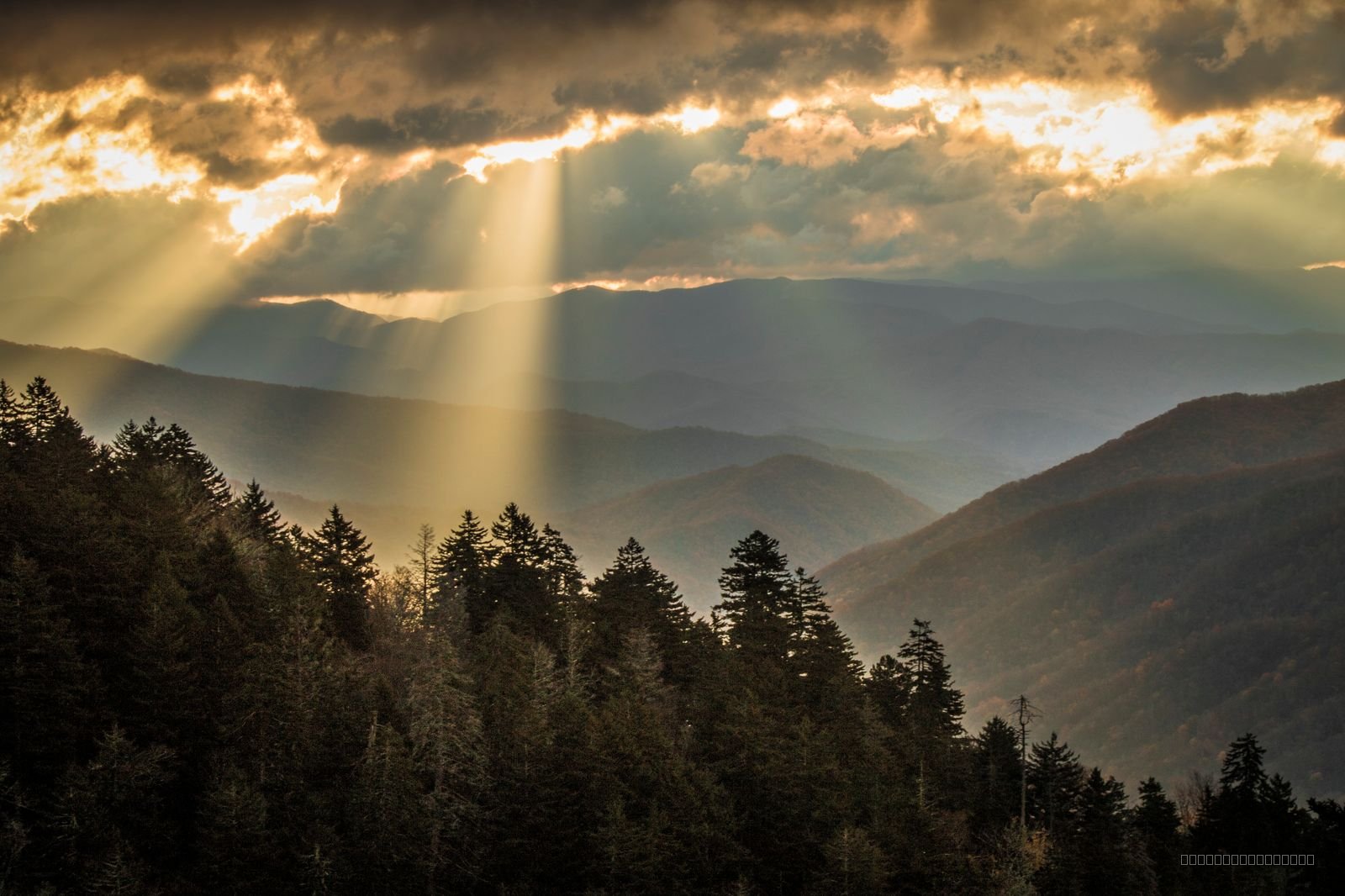 Heaven’s Light