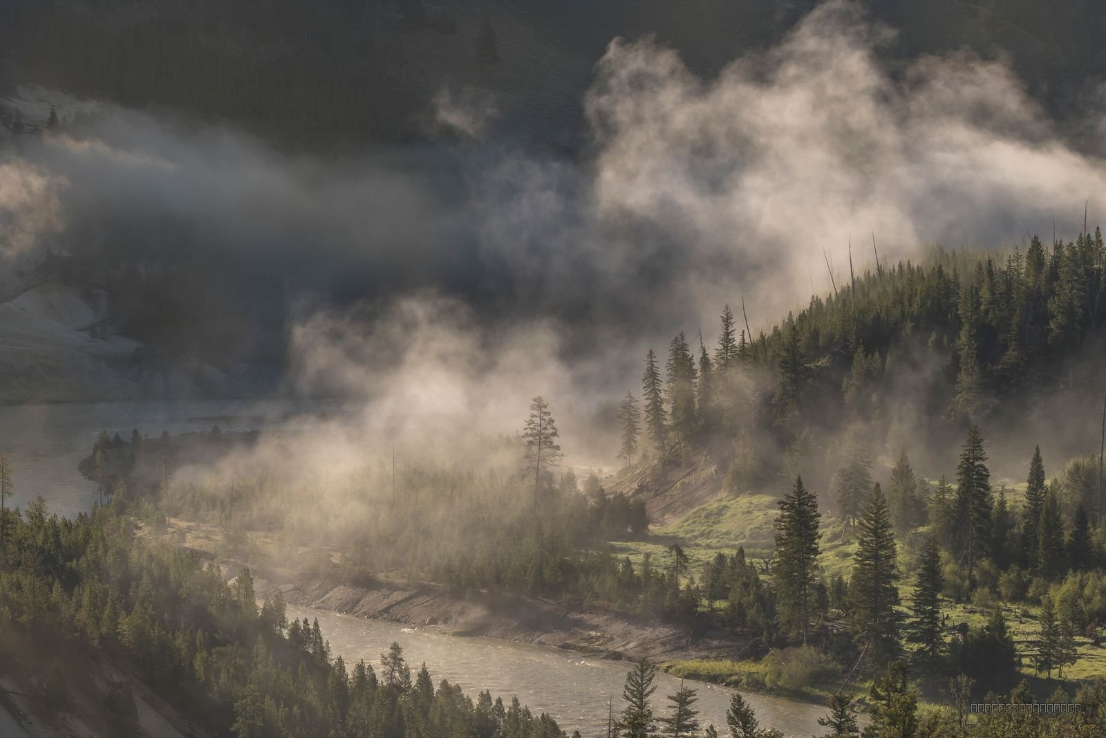 Hidden Yellowstone