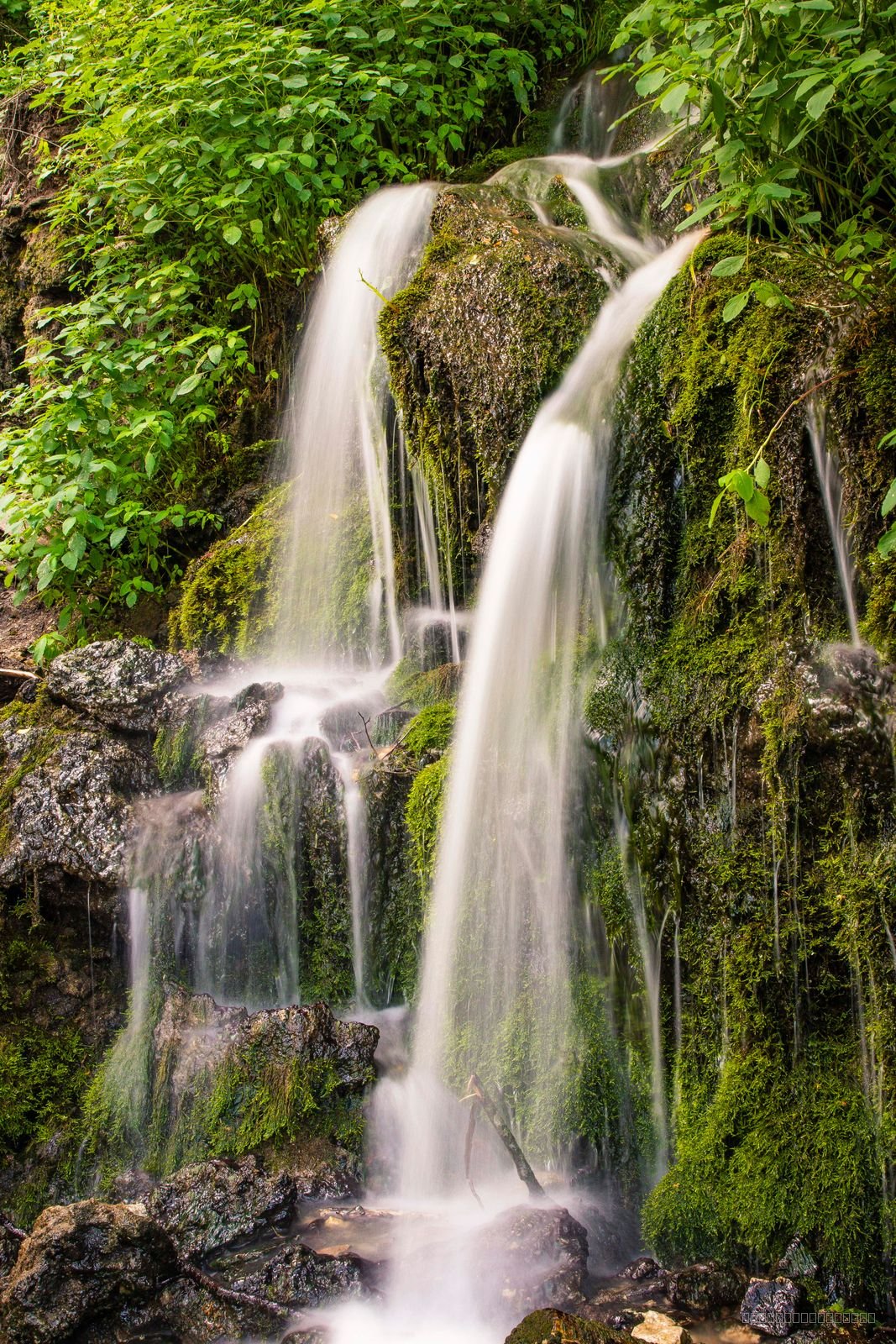 Malanaphy Falls