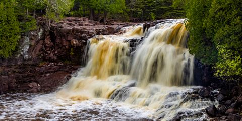 Minnesota Rush