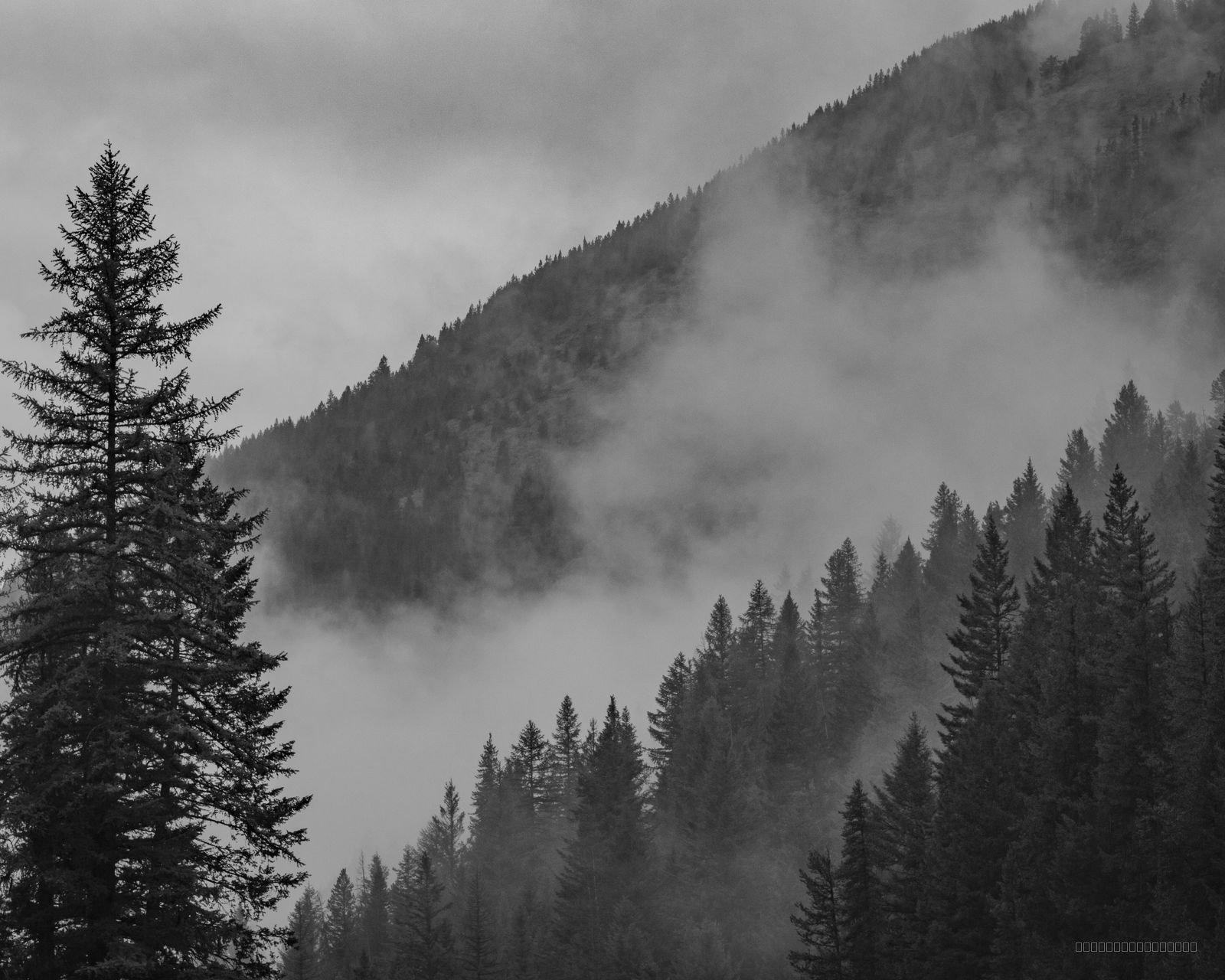 Mystic Veil