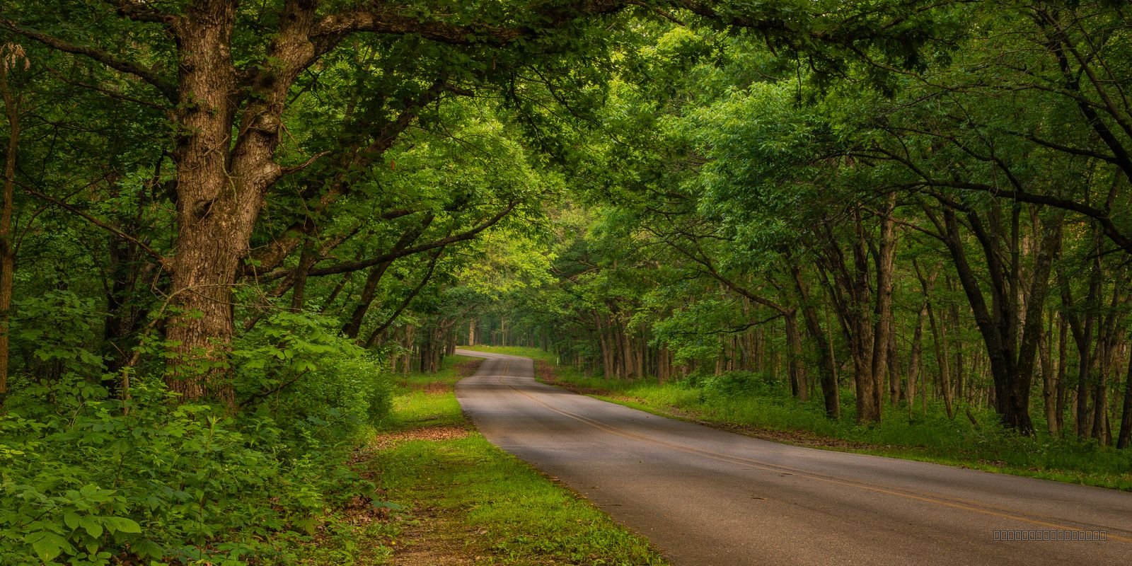 Nine Eagles Road