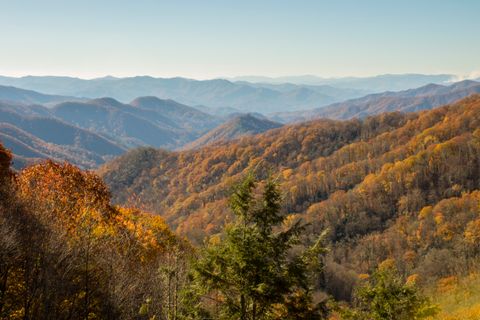 November In The Smokies