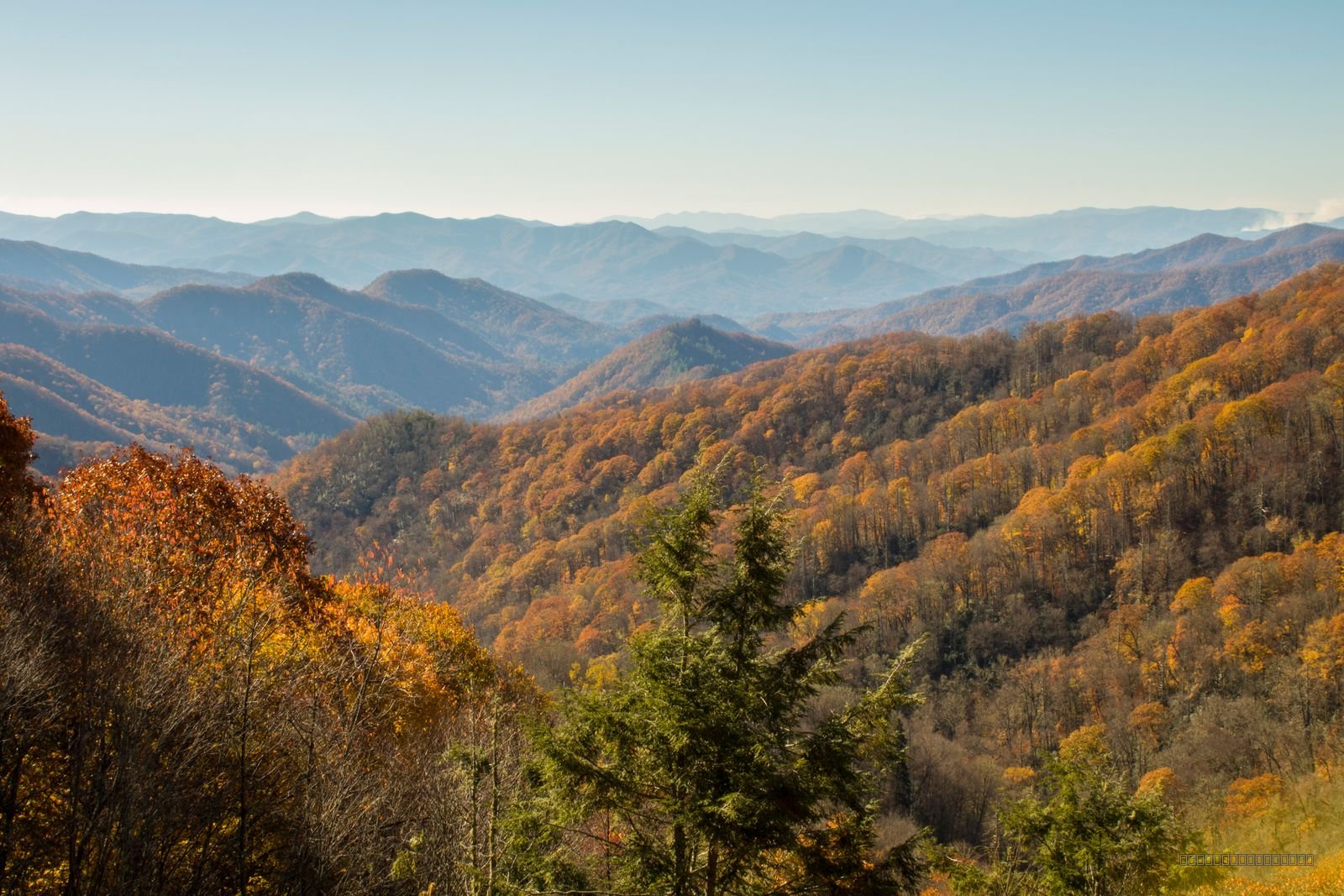 November In The Smokies