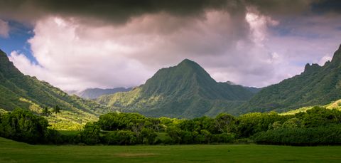Oahu Majesty