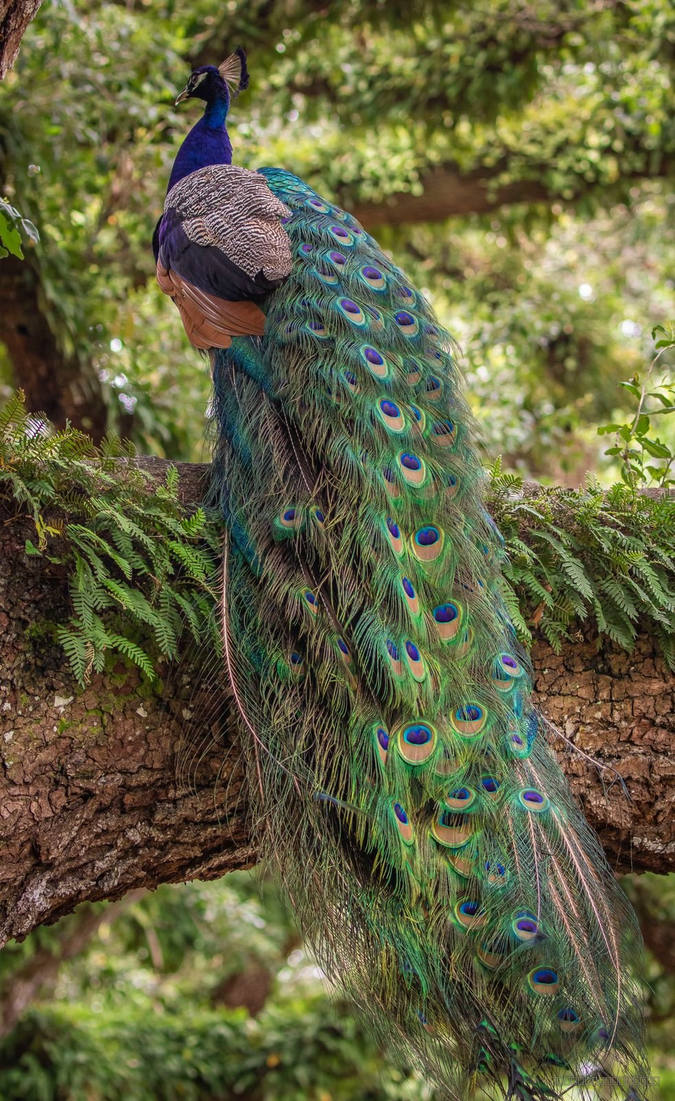 On Display
