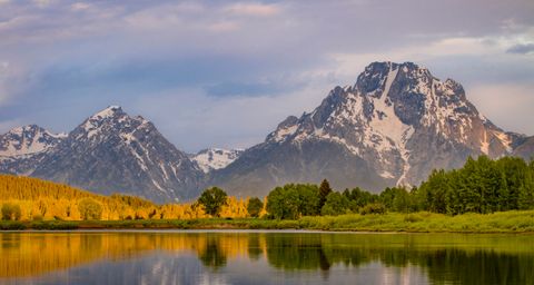 Oxbow Gold