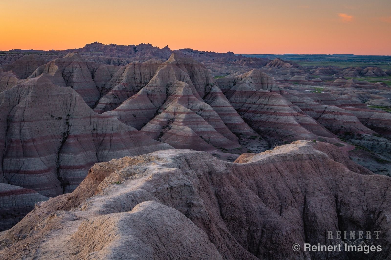 Badlands & Black Hills