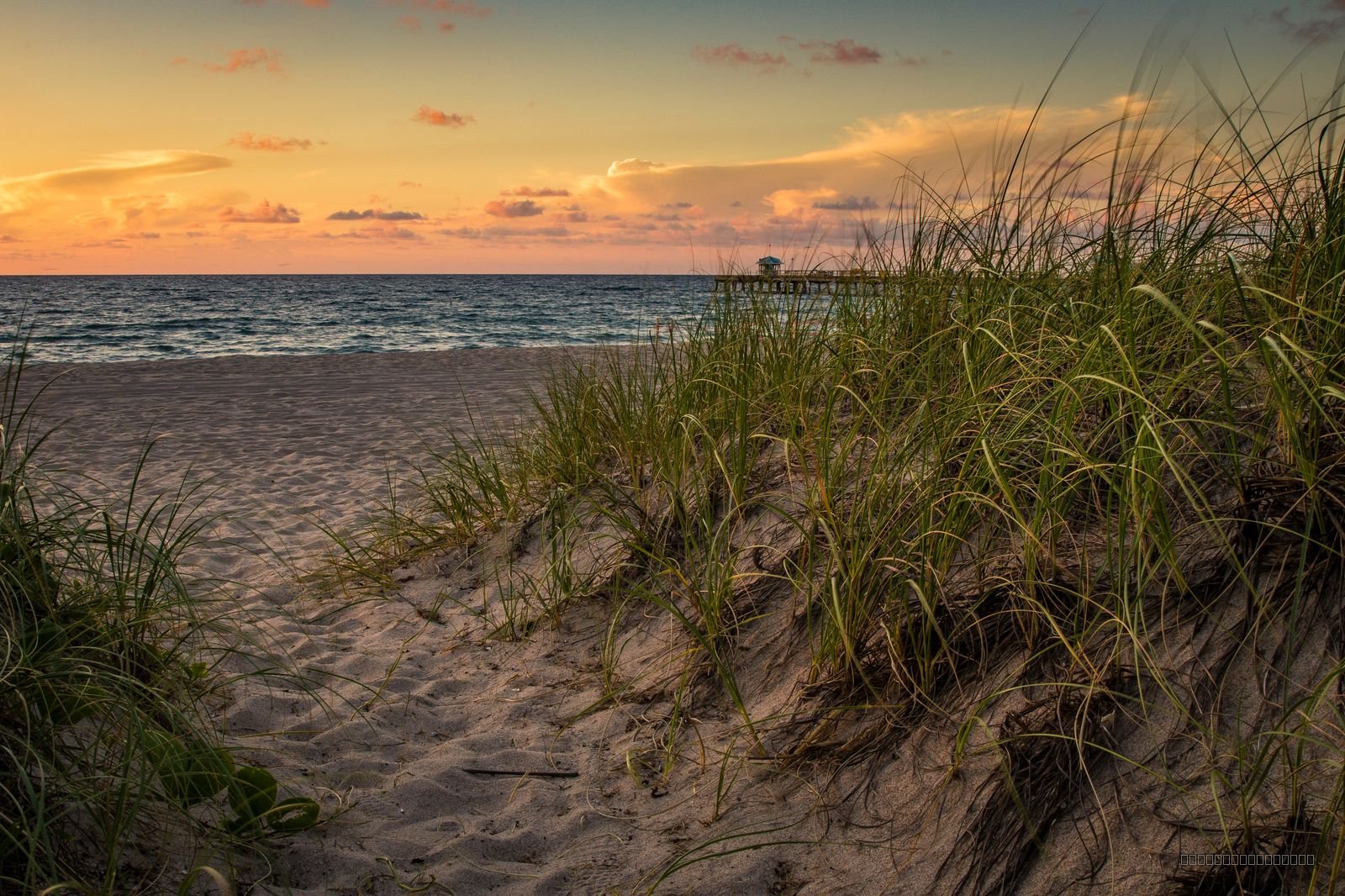 Pathway to Paradise