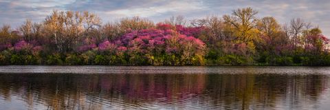 Shoreline Blush