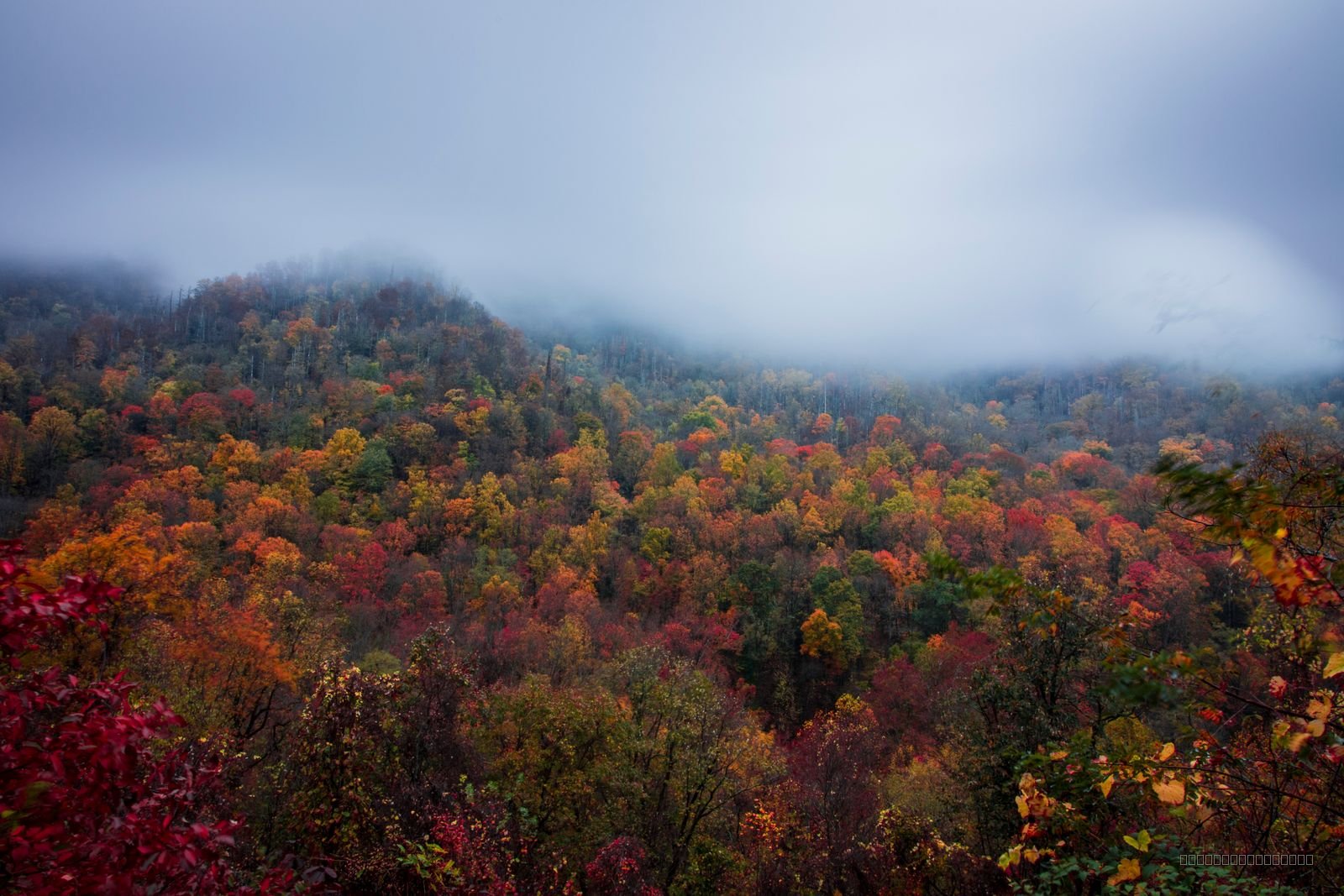 Smoky Mountain Autumn