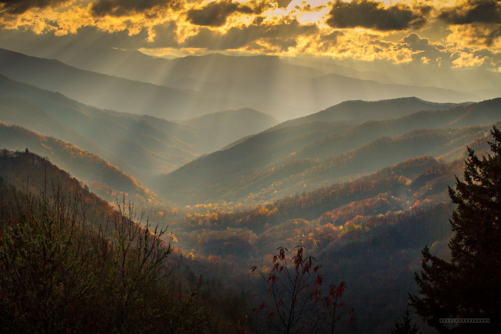 Smoky Mountain Glow