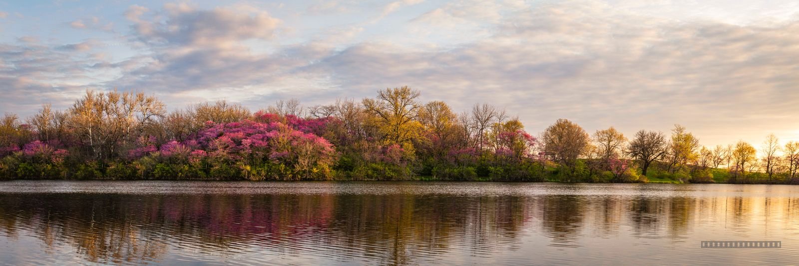 Spring’s Reflection