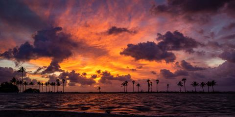 Sunrise at Coconut Grove