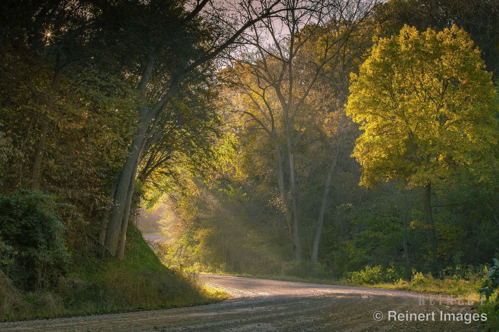 Take a Back Road