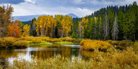 Autumn in the Tetons