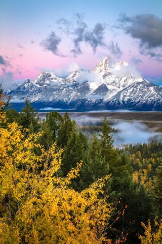 Teton Autumn