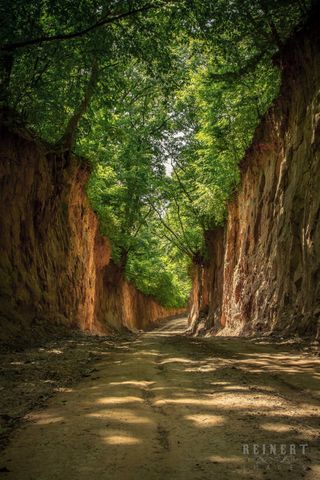 The Forgotten Road