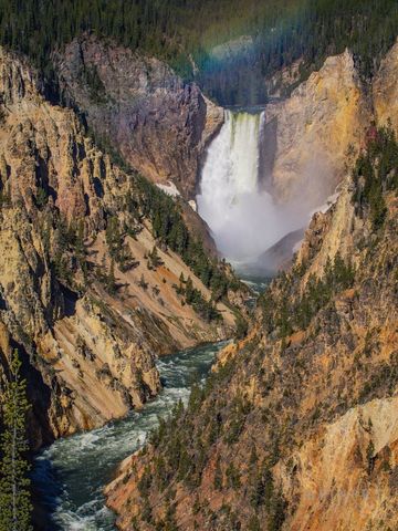 The Heart of Yellowstone