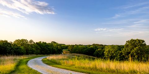 The Long Road Home