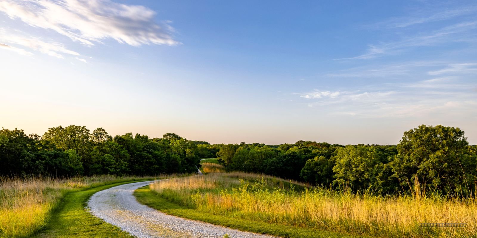 The Long Road Home