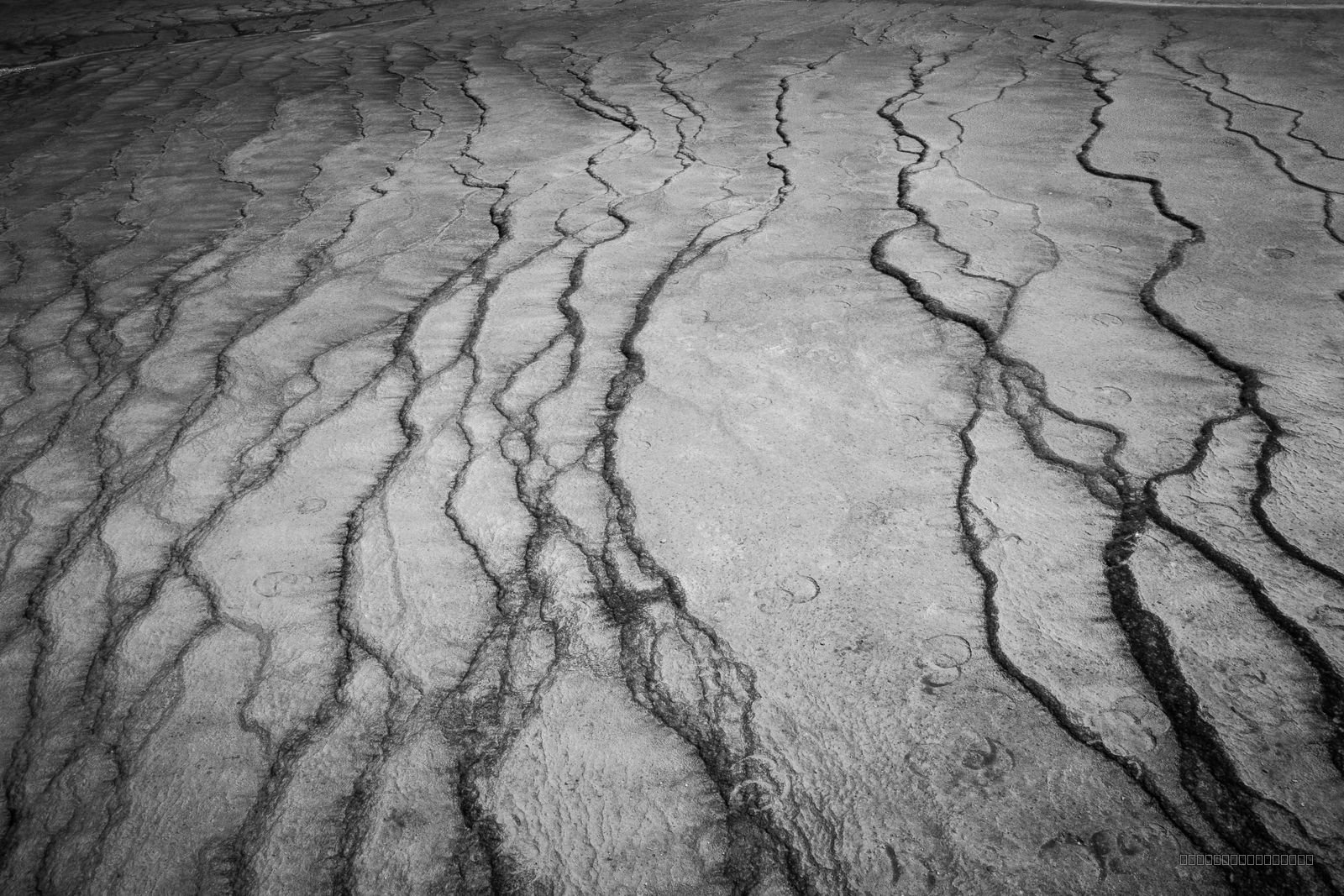 Trails At Grand Prismatic Spring