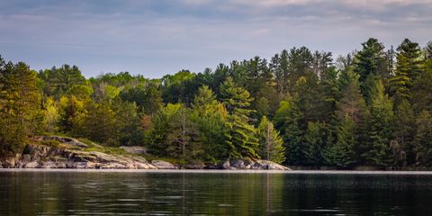 Voyageurs At First Light