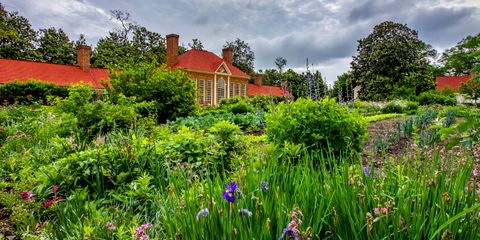 Washington’s Garden