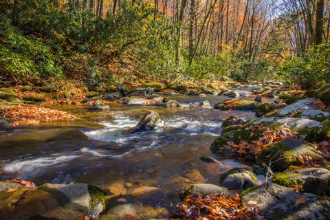 Whispers Of Autumn