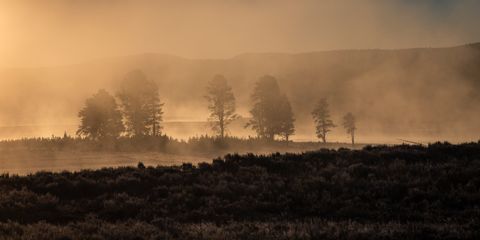 Yellowstone At First Light