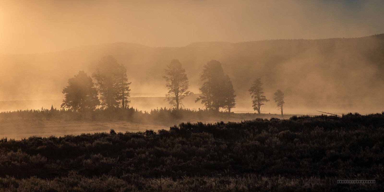 Yellowstone At First Light