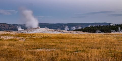Yellowstone Faithful