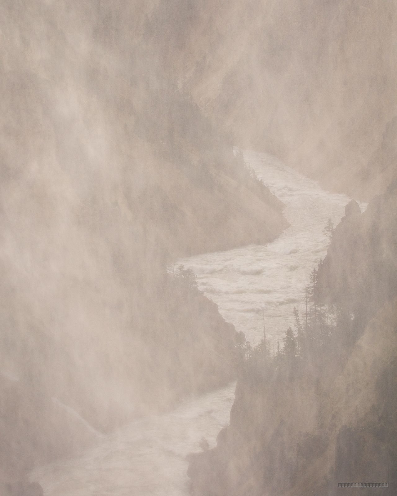 Yellowstone Mist